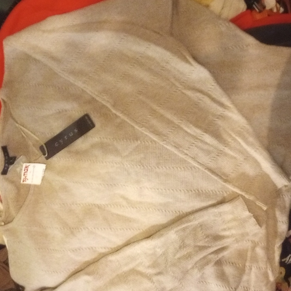 NWT L Cyrus oatmeal color l/s  soft Sweater